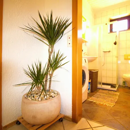 Obiteljska Kuca Za Odmor A4 Murter